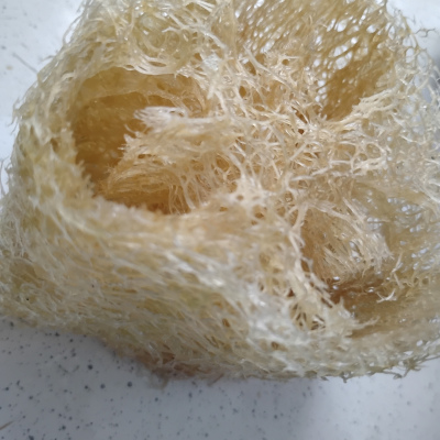 Loofah Sponge Squash Seeds (4 pk)